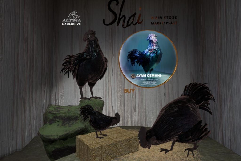 Ayam Cemani Rooster, L$999
