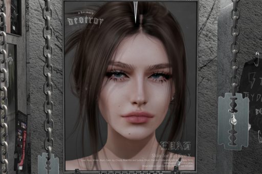 Evah Skin - EvoX, L$550 each/L$1500 FP