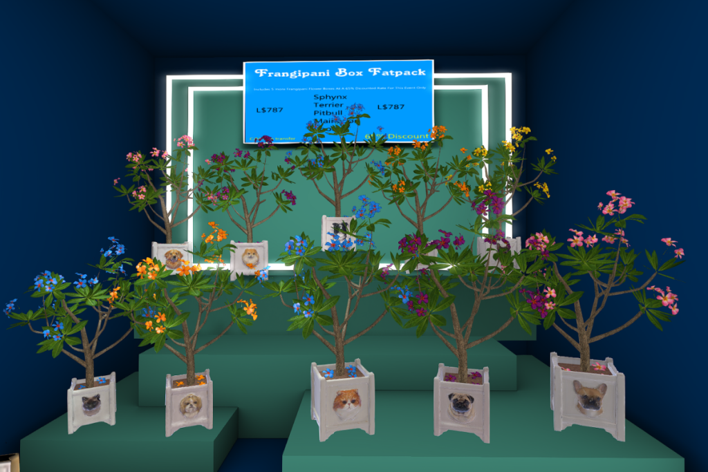 Frangipani Box, $L150 each/$L787 FP