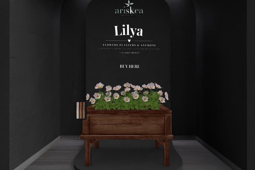 Lilya Flowers Planter &amp; Anemone, L$299