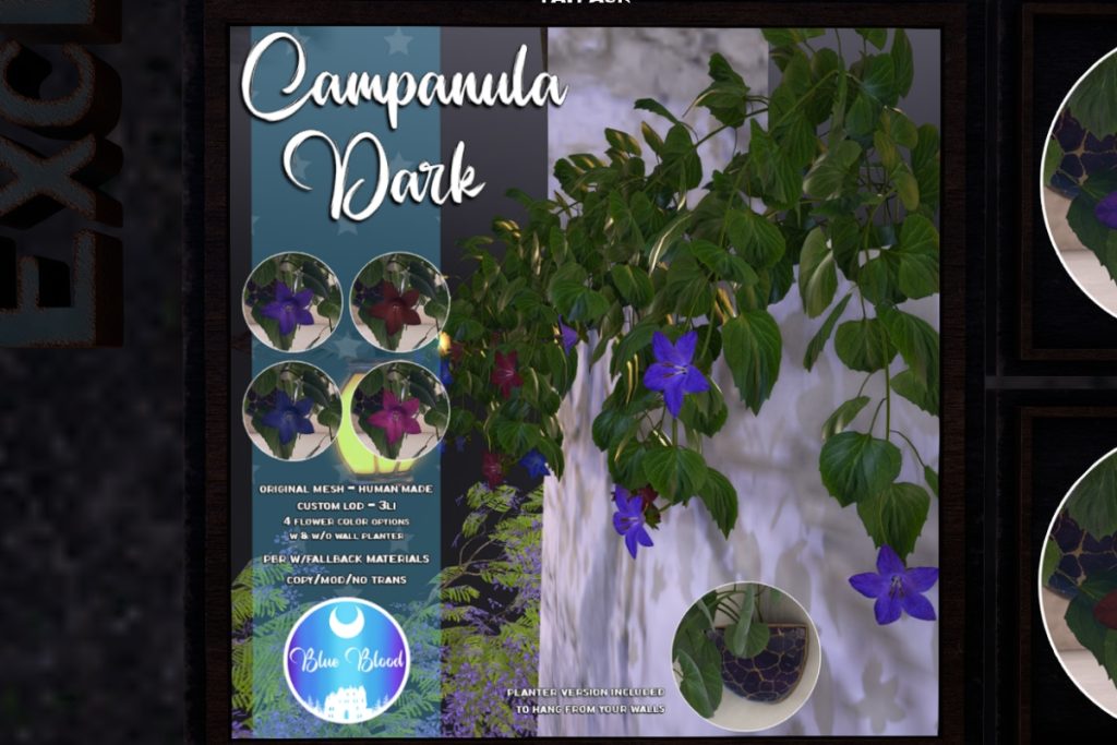Campanula Dark Plants, L$199 each/L$399 FP