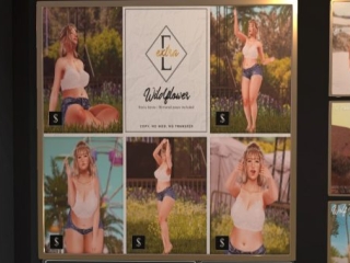 Wildflower Poses, L$75 each/L$350 FP