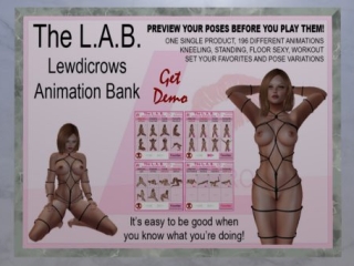The L.A.B Animations HUD, L$450 FP
