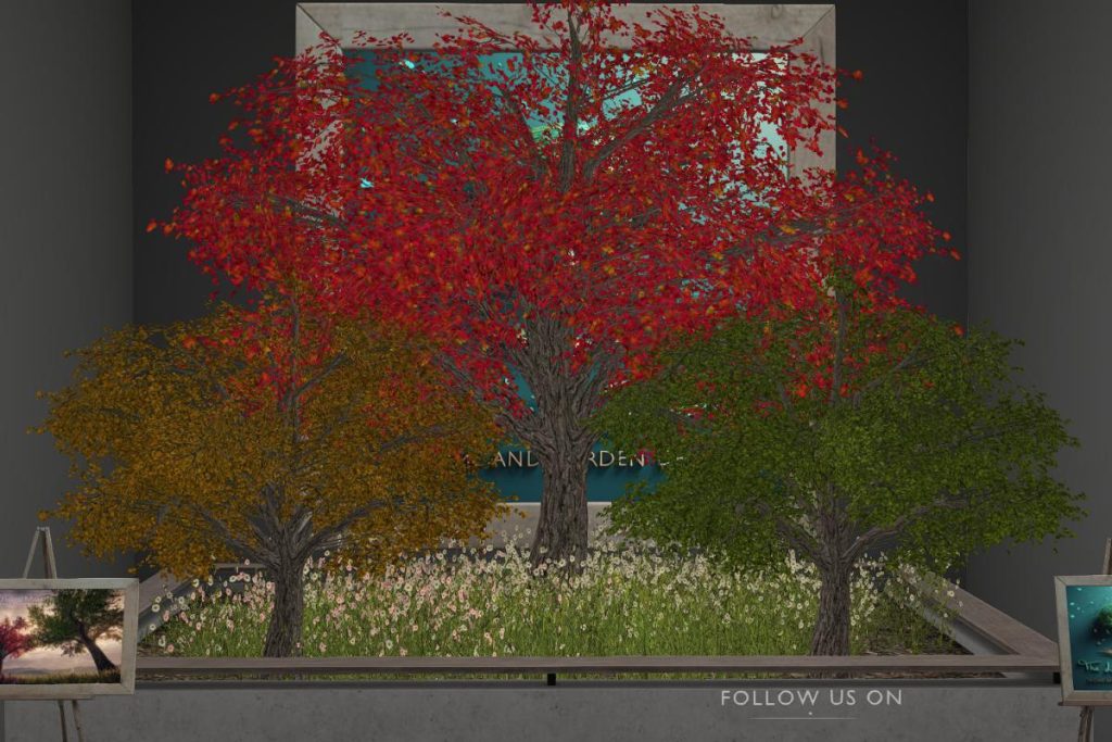 Red Canadian Maple, L$288