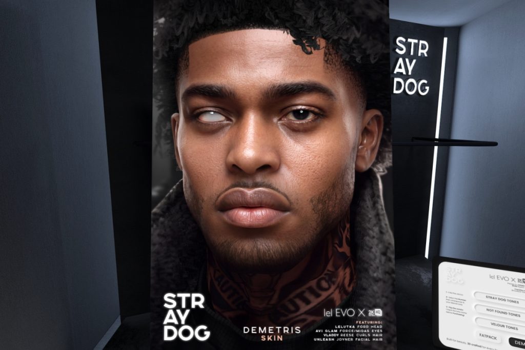 Demetris Skin - EvoX/Ford Head, L$590 each/L$1180 FP