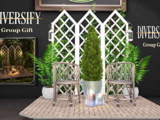 Diversify Group Gift
