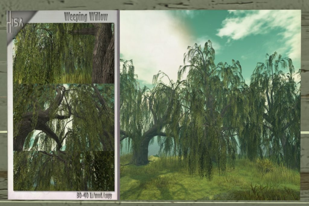 Weeping Willow, L$550