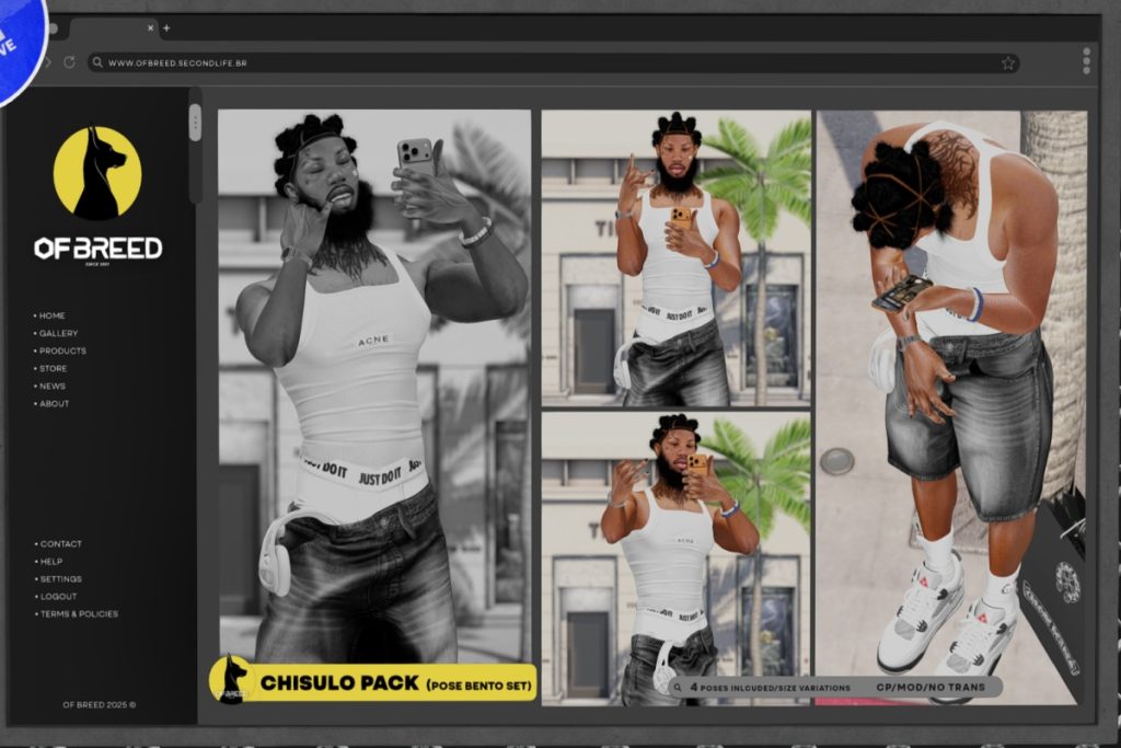 Chisulo Poses, L$100 each/L$300 FP